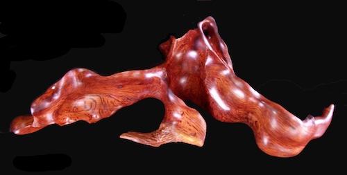 Flame of the Forest...Carved from Flame She Oak by Guy Breay
